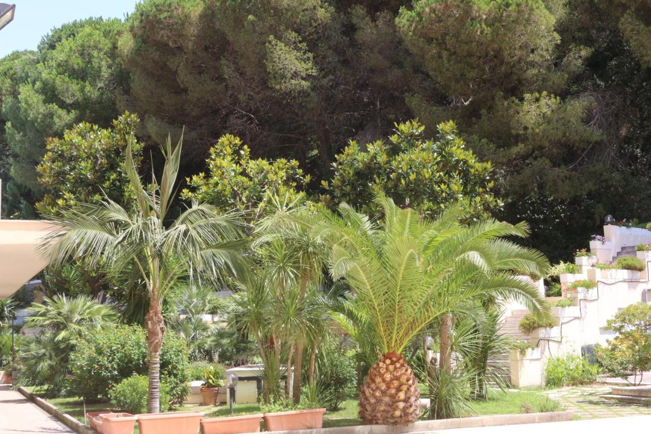 Mirasole International Gaète